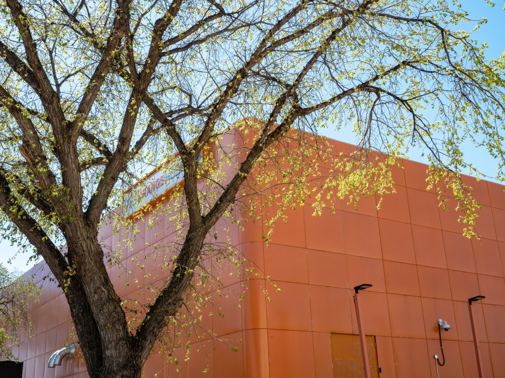 An outside corner of the Orange Hub with a tree in the foreground.